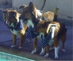 Arizona Girls!