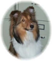 Brady