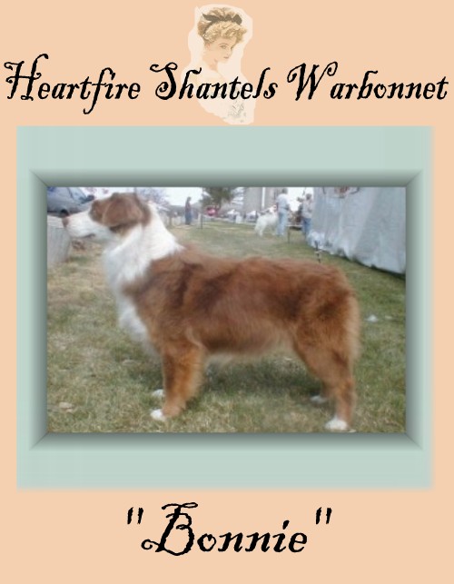 Heartfire Shantels WarBonnet